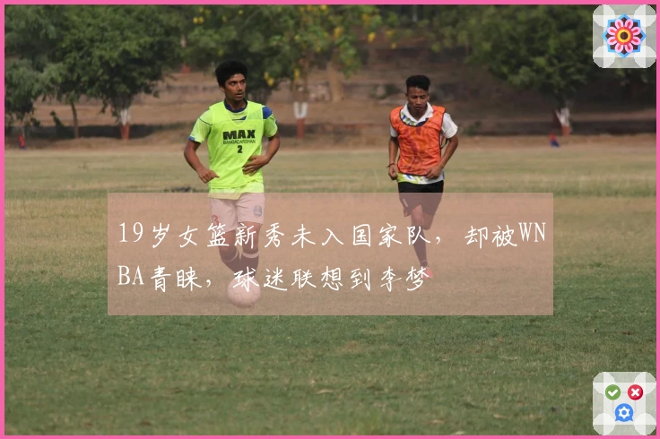 19岁女篮新秀未入国家队，却被WNBA青睐，球迷联想到李梦