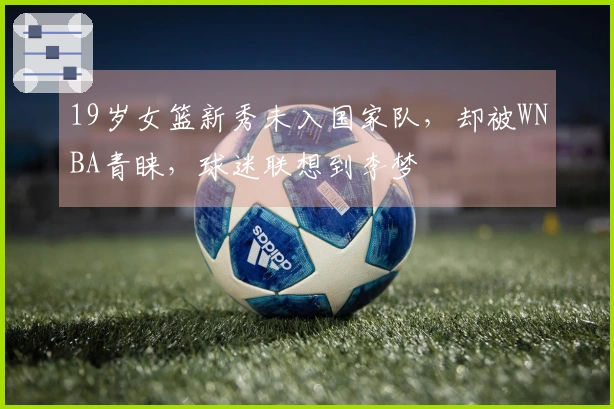 19岁女篮新秀未入国家队，却被WNBA青睐，球迷联想到李梦