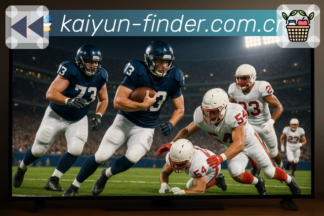 开云APP 体育赛事宣传图